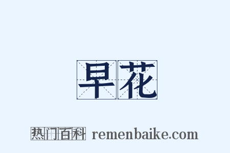 早花是什么意思的图片